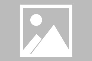 必发APP-若日尼奥第3卡瓦哈尔第4，前车之鉴：帕尔默偷走金球概率有多大？